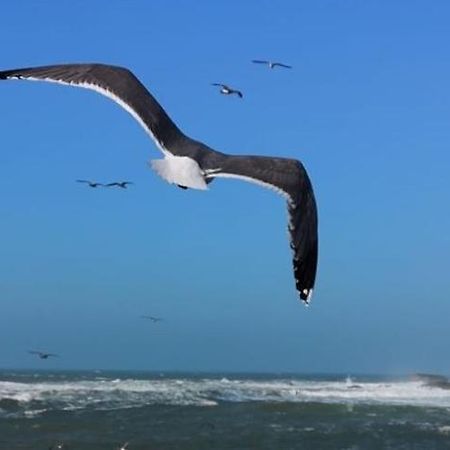 Villa L'Oiseau Bleu エッサウィラ エクステリア 写真